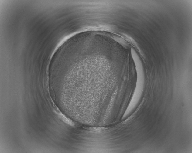 X0000078291184200611172114