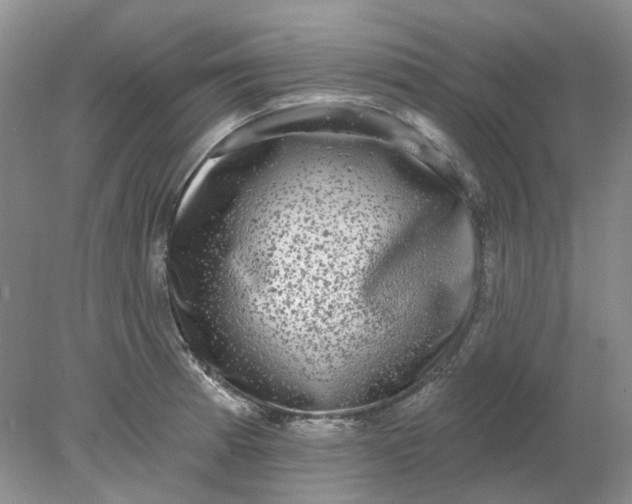 X0000078291185200611172114