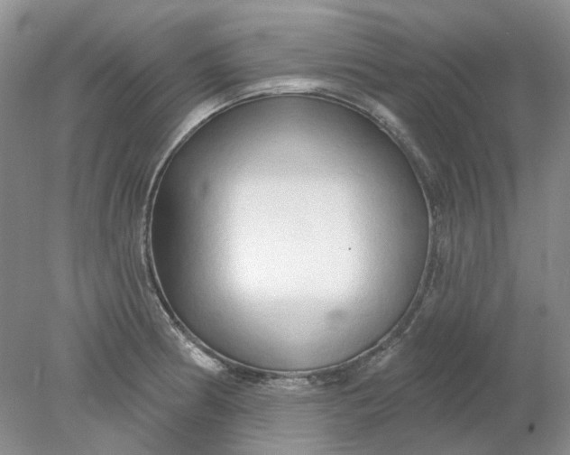 X0000078291186200611172114