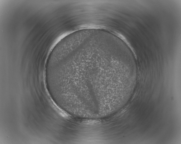 X0000078291187200611172114