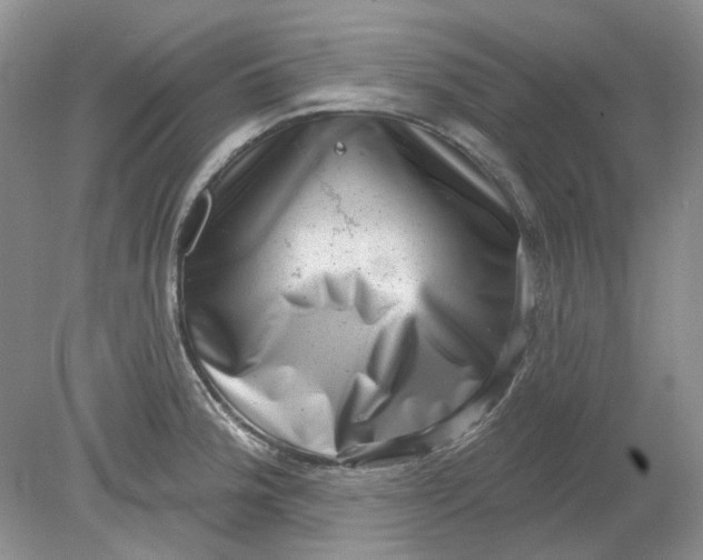 X0000078291188200611172114