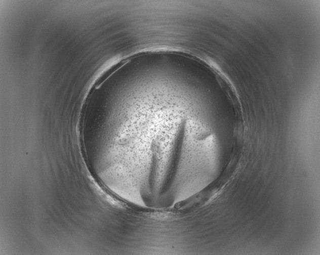 X0000078291189200611172114