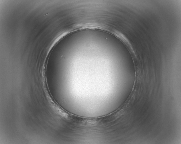 X0000078291190200611172114