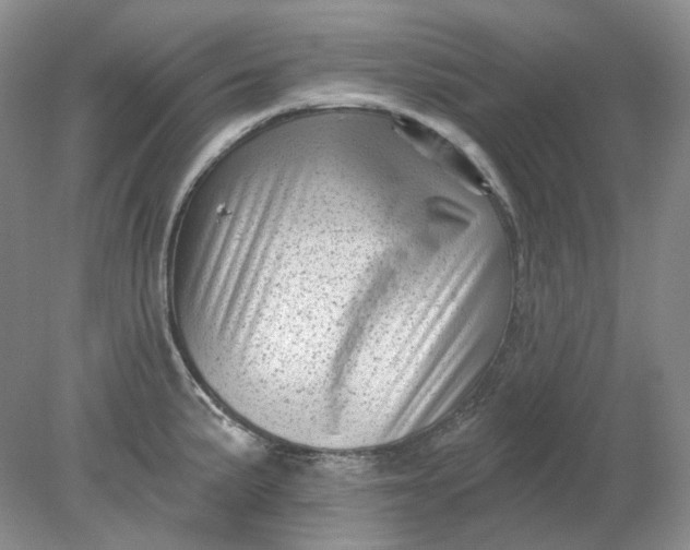 X0000078291191200611172114