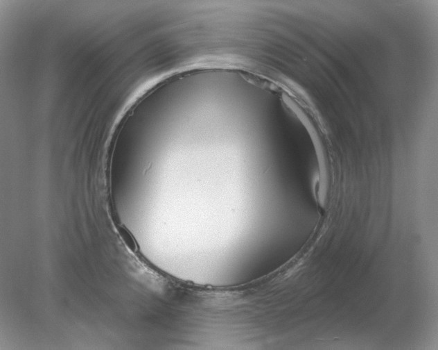 X0000078291192200611172114