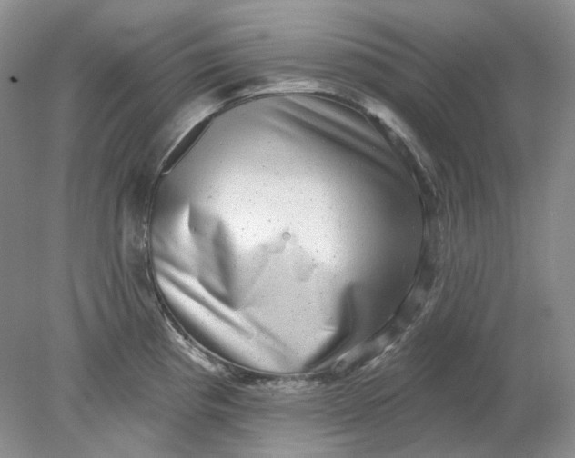 X0000078291193200611172114