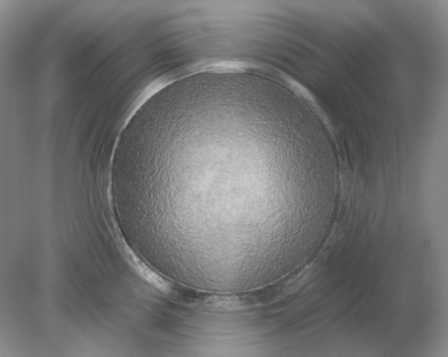 X0000078291194200611172114