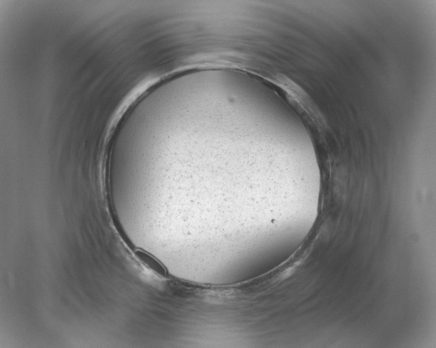 X0000078291196200611172114