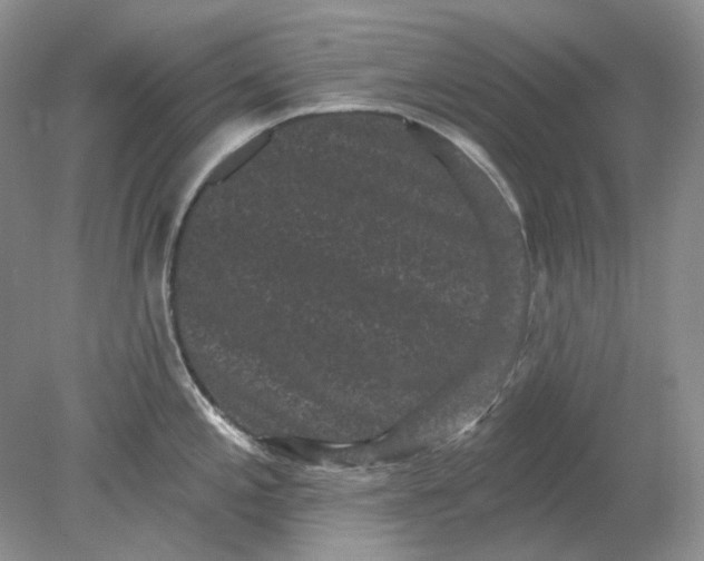 X0000078291197200611172114