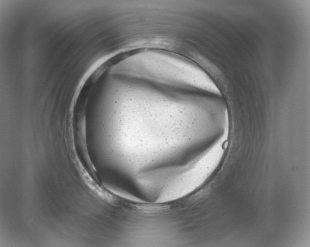 X0000078291200200611172114