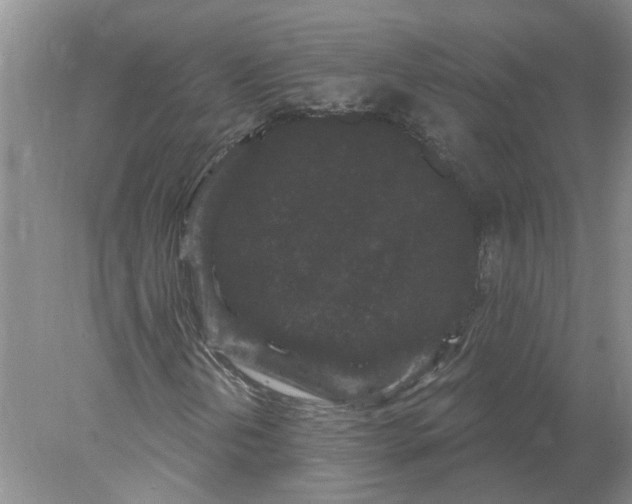 X0000078291202200611172113