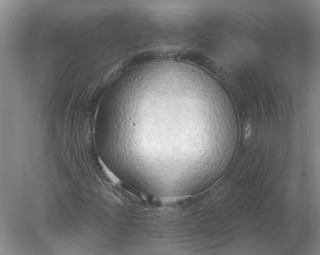 X0000078291204200611172113