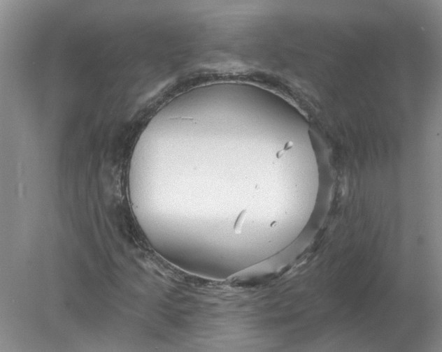 X0000078291205200611172113