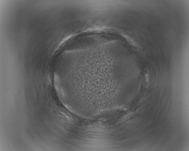 X0000078291206200611172113