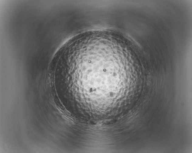 X0000078291208200611172113