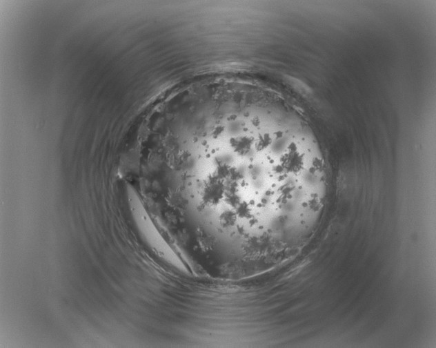 X0000078291209200611172113