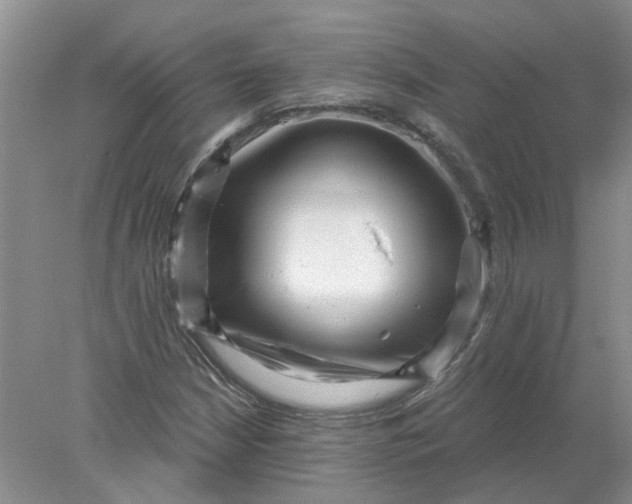 X0000078291210200611172113