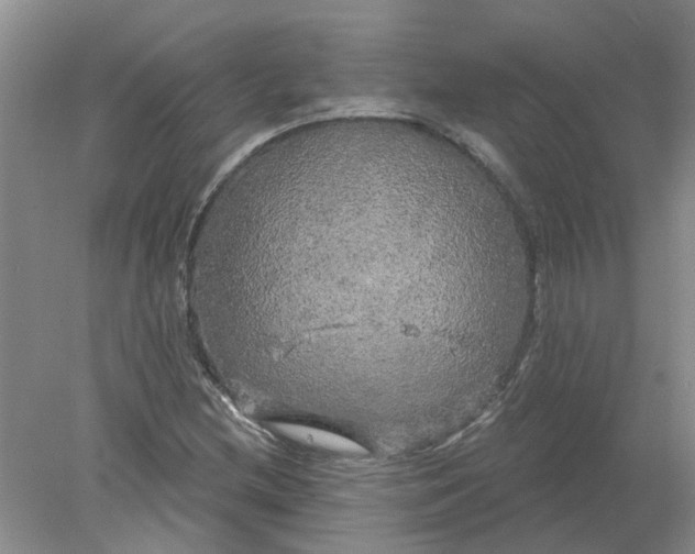 X0000078291212200611172113