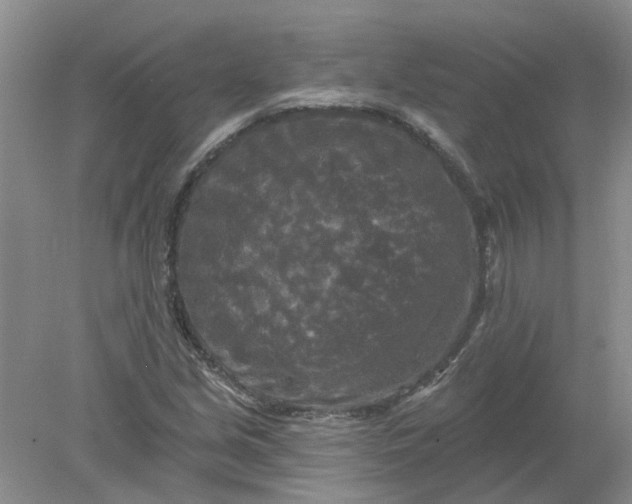 X0000078291213200611172113