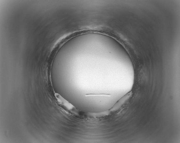 X0000078291214200611172113