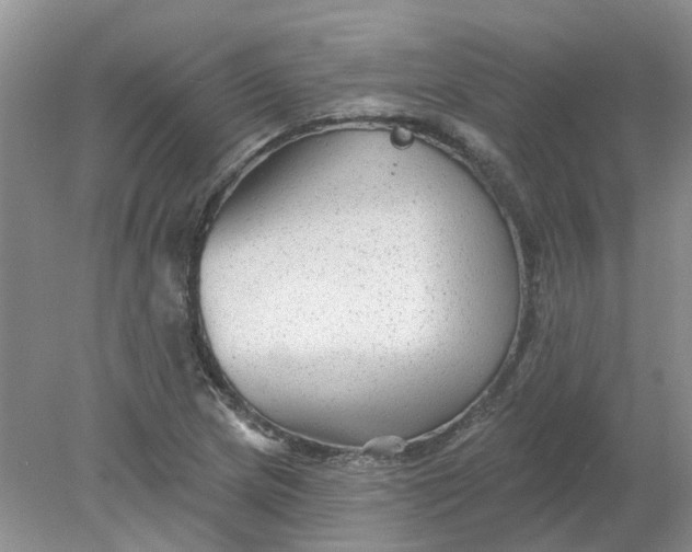 X0000078291217200611172113