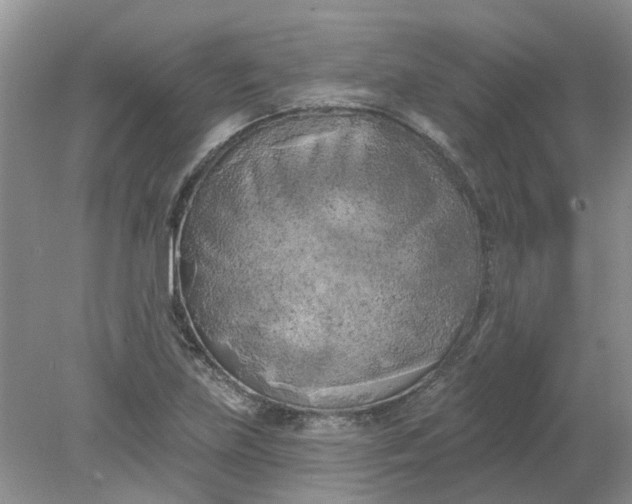 X0000078291219200611172114