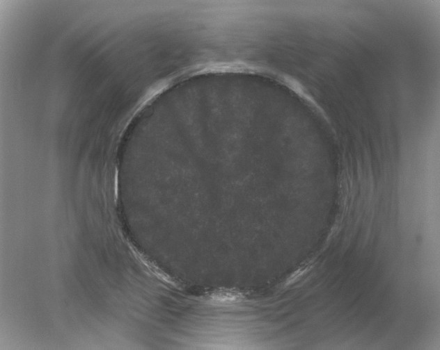 X0000078291221200611172114