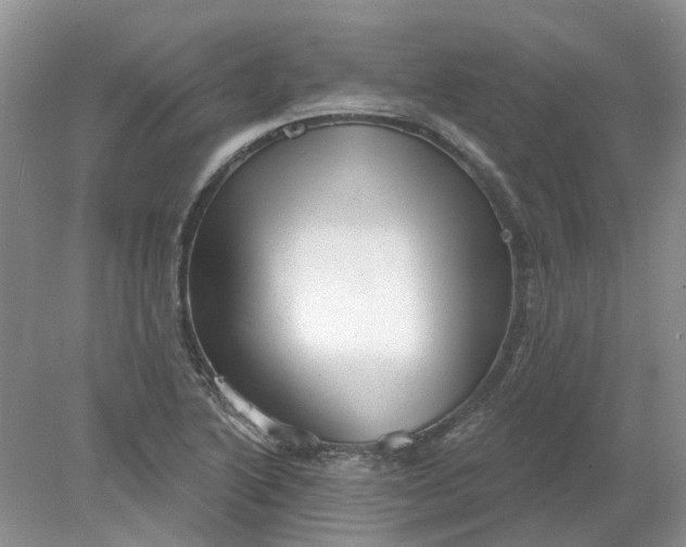 X0000078291222200611172114