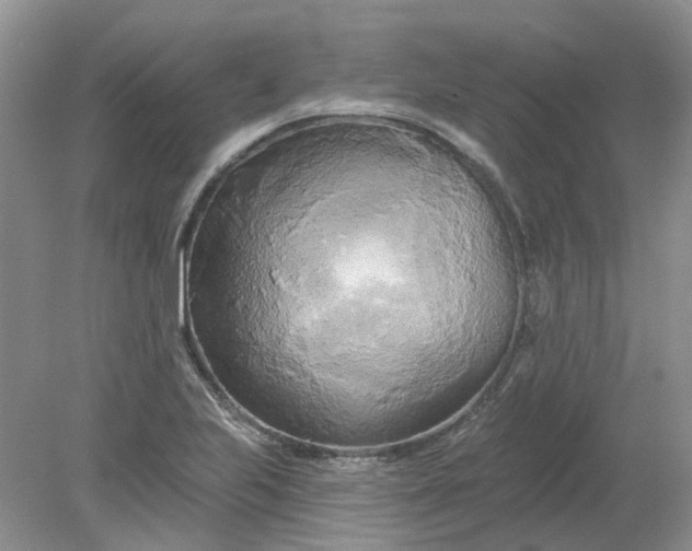 X0000078291223200611172114