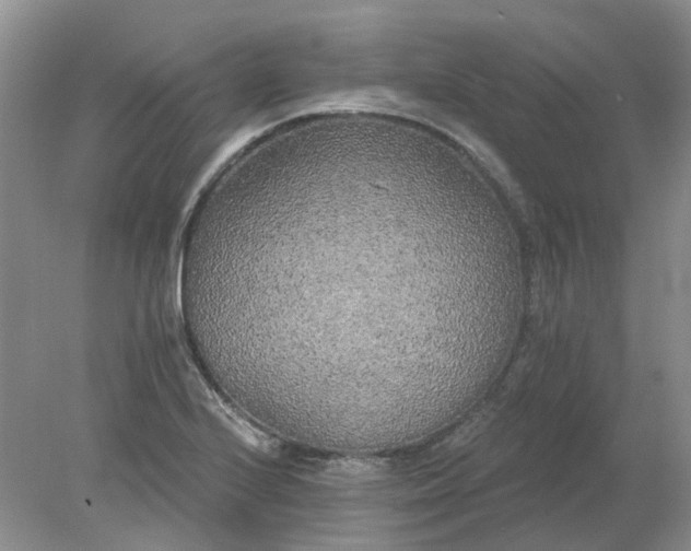 X0000078291224200611172114