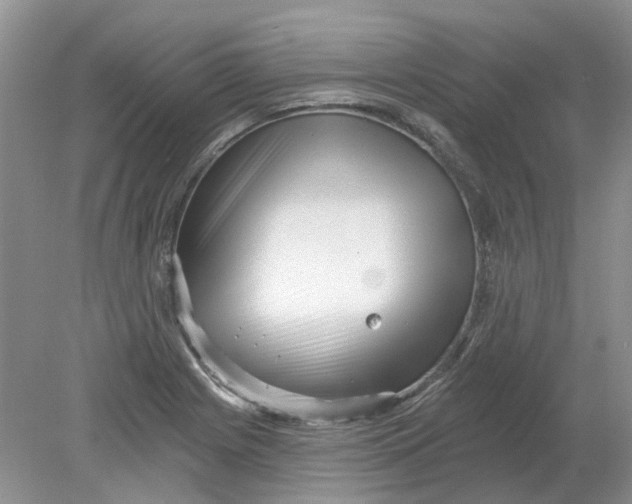 X0000078291225200611172114