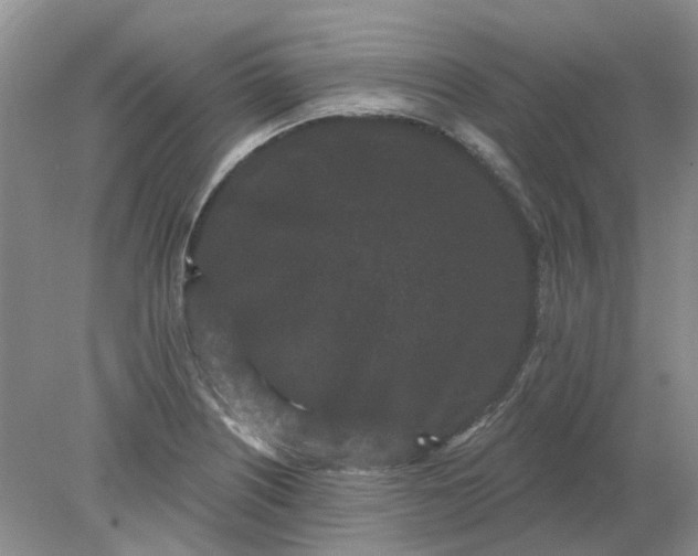 X0000078291226200611172114