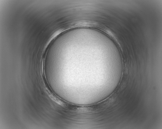 X0000078291227200611172114