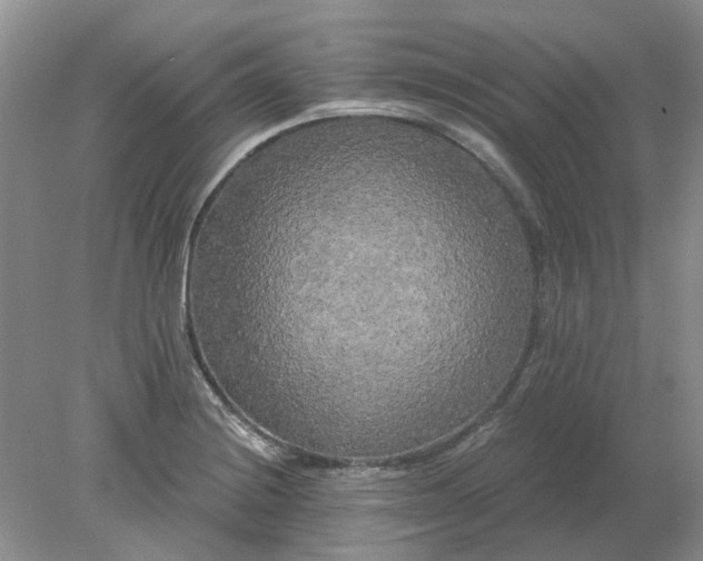 X0000078291228200611172114