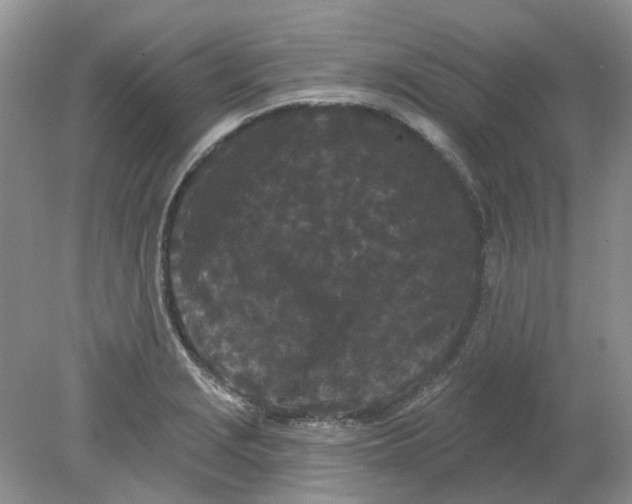 X0000078291229200611172114