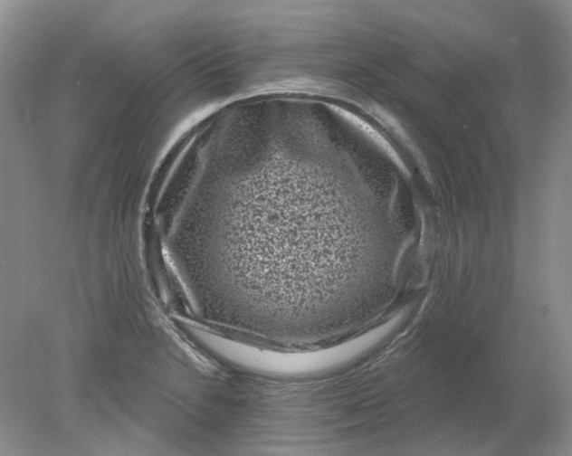 X0000078291230200611172114