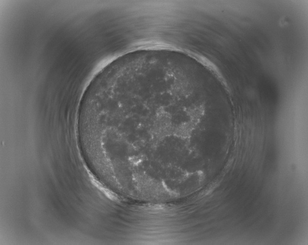 X0000078291231200611172114