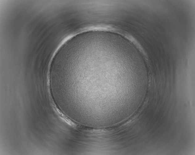 X0000078291232200611172114