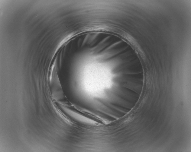 X0000078291234200611172114