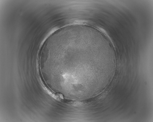 X0000078291235200611172114