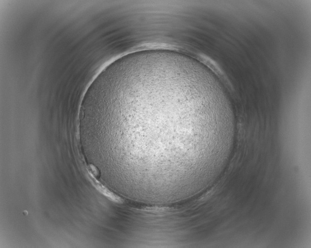 X0000078291236200611172114