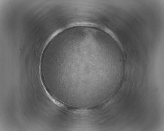 X0000078291237200611172114