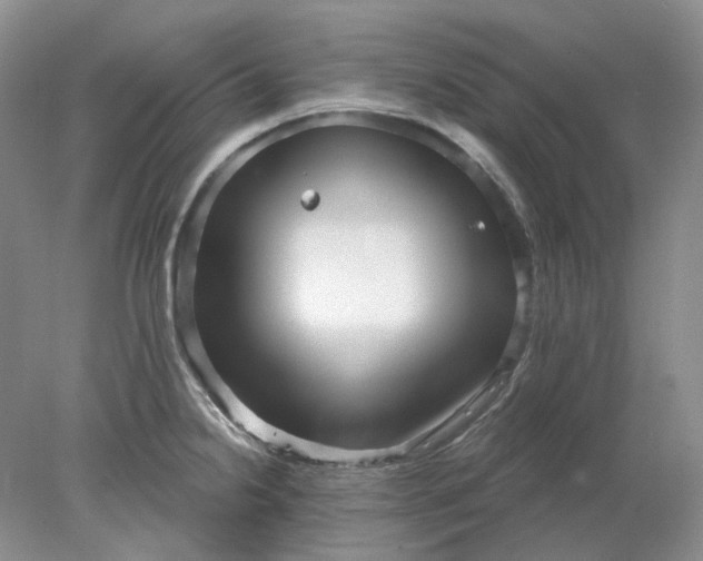 X0000078291238200611172114