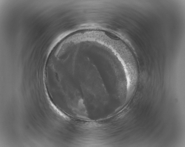 X0000078291239200611172114