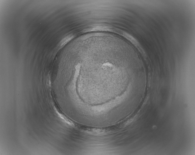 X0000078291241200611172114