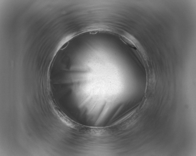 X0000078291242200611172114