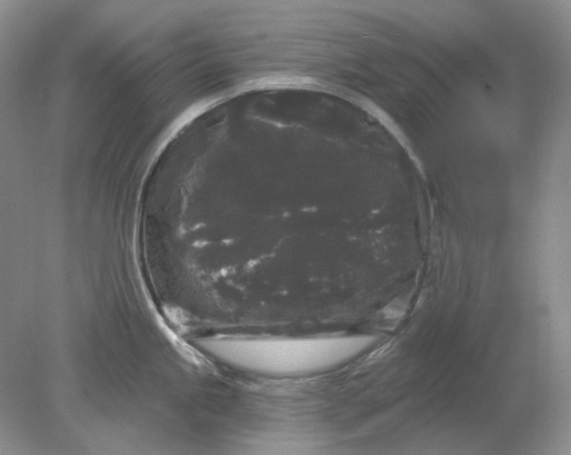 X0000078291245200611172114