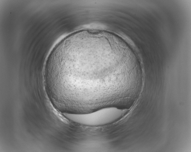 X0000078291248200611172114