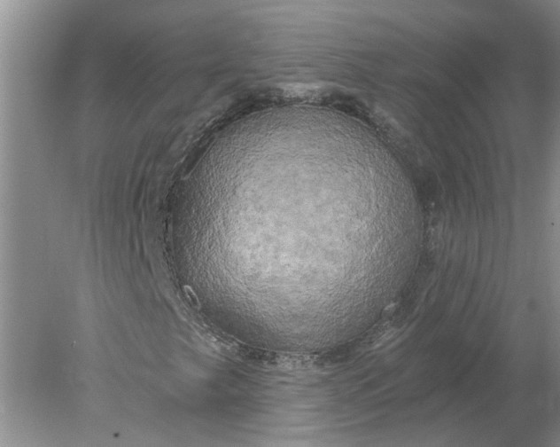 X0000078291249200611172113