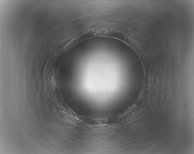 X0000078291250200611172113